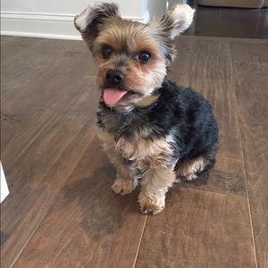 Meet your Posher, Linda